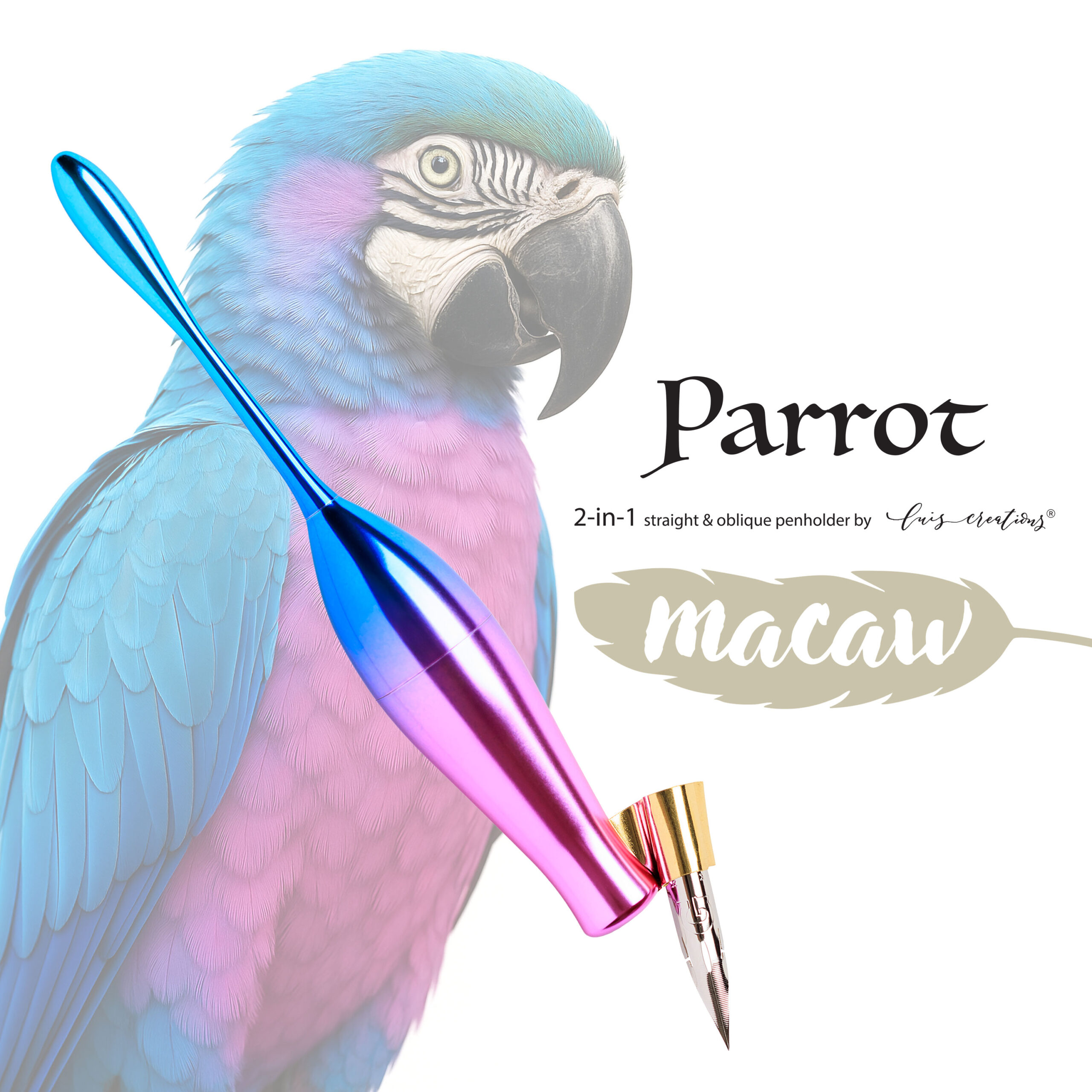 Parrot Macaw Bird Logo